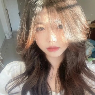红翼海报