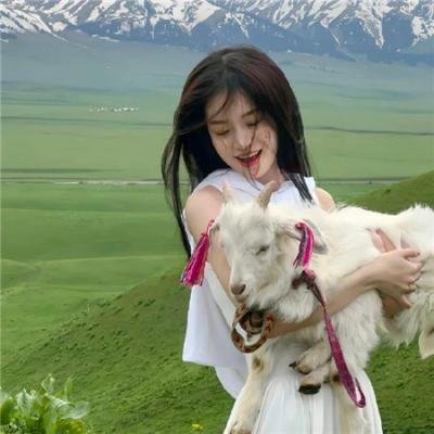 特战先锋海报